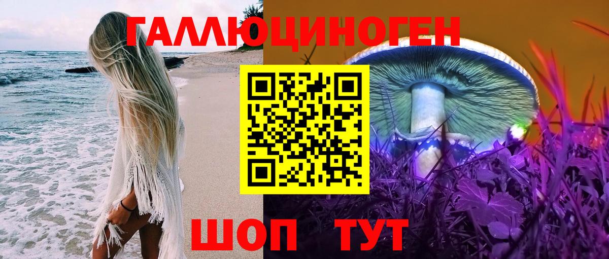 Апшеронск  Галлюциногенные грибы прущие грибы  Вход с VPN  Галлюциногенные грибы Psilocybine cubensis 