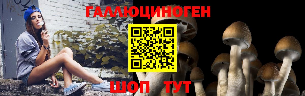 Псилоцибиновые грибы мухоморы Апшеронск