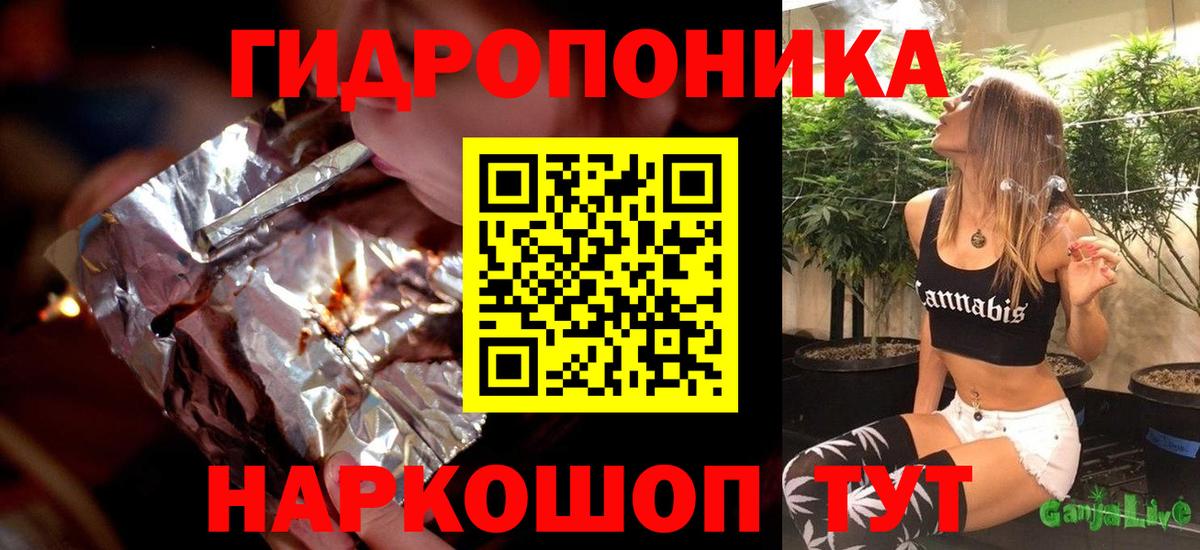 Конопля планчик Апшеронск